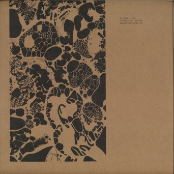 Ricardo Villalobos - Empirical House