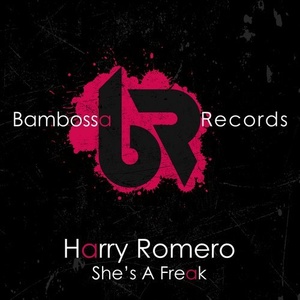 Harry Romero - She-s A Freak [BMBS008]