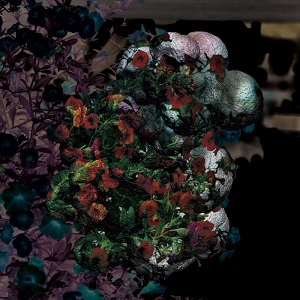 Blondes - Warmth (RS1710) [CD] (2017)