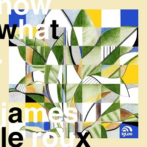 James Le Roux - Now What- [Igloo-Rec]