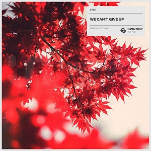 EDX - We Can't Give Up