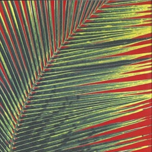 Poolside - Contact High Edits (2017)
