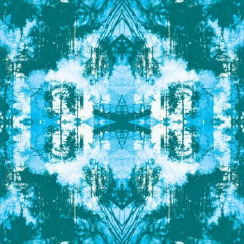 Tusks - Dissolve Tusks - Dissolve