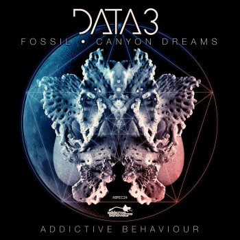 Data 3 - Fossil & Canyon Dreams