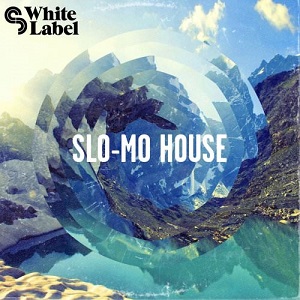 SAMPLE MAGIC SLO-MO HOUSE MULTIFORMAT SAMPLE MAGIC SLO-MO HOUSE MULTIFORMAT