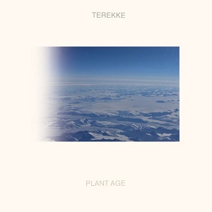 Terekke - Plant Age 2017 Terekke - Plant Age 2017