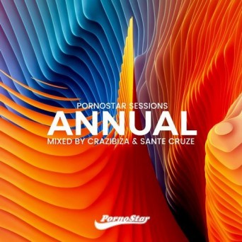 PornoStar Records: The Annual 2018