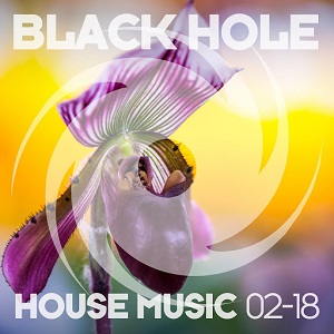 VA - Black Hole House Music 02-18