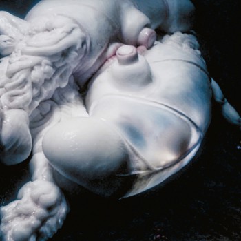 Björk - Arisen My Senses (Remixes)