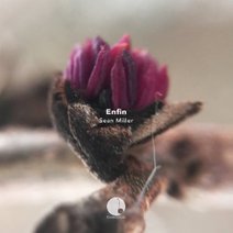 Sean Miller - Enfin [CAL036] Cadenza Lab