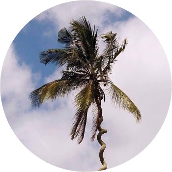 Harrison Bdp - Be Like Water