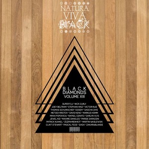 VA - Black Diamonds, Vol.13 [NATBLACK124]