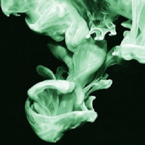 Simian Mobile Disco - We Go + three live recordings [WEBB539PEP]