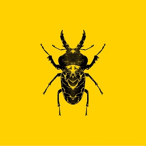 Golden Features - SECT [CD] (2018)