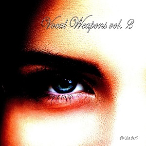 Vocal Weapons, Vol. 2 (Compiled & Mixed by Disco Van) (2018)