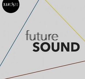 RAW LOOPS FUTURE SOUND WAV