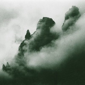 Massimo Toniutti - Il Museo Selvatico [BLACKTRUFFLE040D]