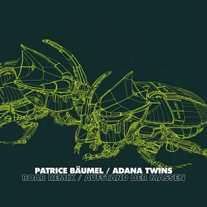 Patrice Baumel / Adana Twins - Roar Remix / Aufstand der Massen [WGVINYL052]