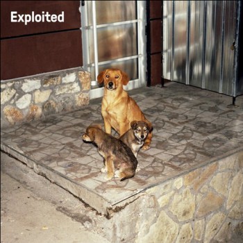 VA - Shir Khan Presents Exploited 2018 Ffwd Rwd