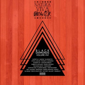VA - Black Diamonds, Vol. 16 [NATBLACK156]