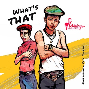 Funkerman, Pete Surrreal - What's That (Extended Mix) Funkerman, Pete Surrreal - What's That (Extended Mix)