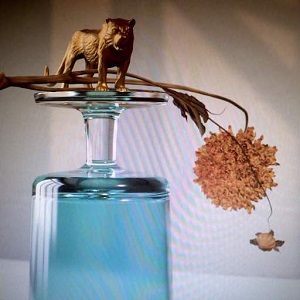 Beirut - Gallipoli (2019) Beirut - Gallipoli (2019)