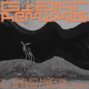 Calvin Harris & Rag'n'Bone Man - Giant (Remixes)