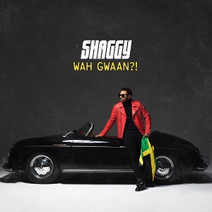 Shaggy - Wah Gwaan-! (2019) Shaggy - Wah Gwaan-! (2019)