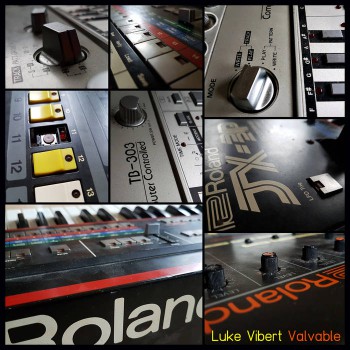 Luke Vibert - Valvable [I Love Acid]