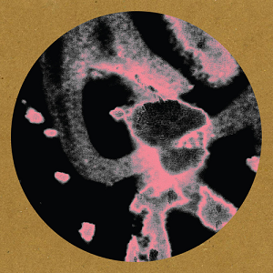 Skudge - Clear / Wasp (Skudge) Skudge - Clear / Wasp (Skudge)