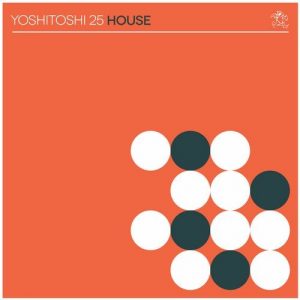 VA - Yoshitoshi 25 House [YRD054]