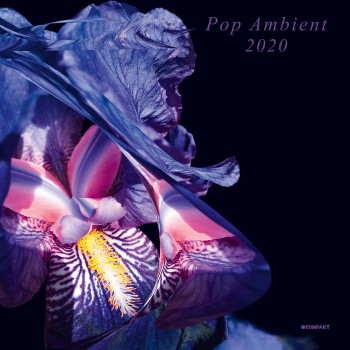 va - Pop Ambient 2020 va - Pop Ambient 2020