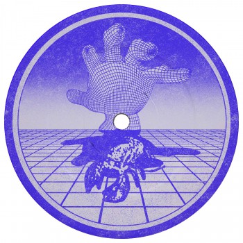 Shedbug - Timeframe