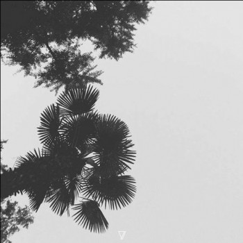 Nhar - Appel Lointain