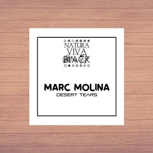 Marc Molina - Desert Tears