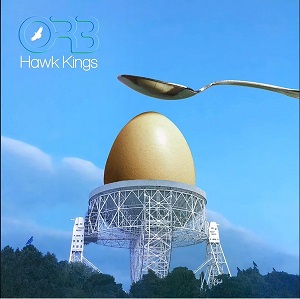 The Orb ‎- Hawk Kings (Oseberg Buddhas Buttonhole)
