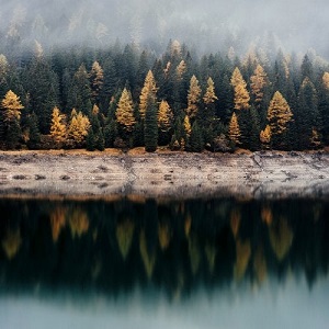 The Alchemical Theory - Fog over the Lake The Alchemical Theory - Fog over the Lake