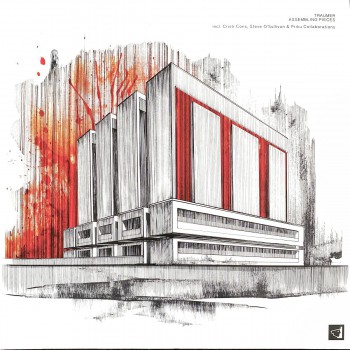 Traumer - Assembling Pieces