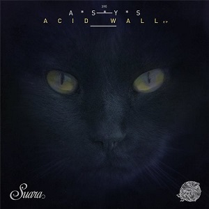A*S*Y*S - Acid Wall EP