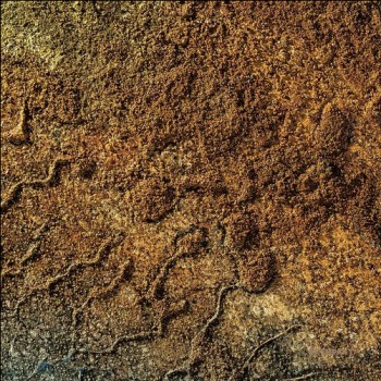 Various - Velvet Desert Music Vol. 2