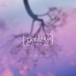 DAVI - Home