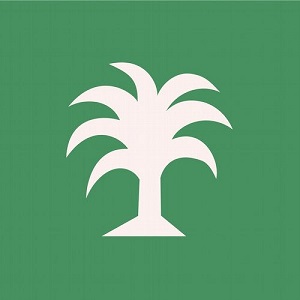 Monkey Safari - Gira