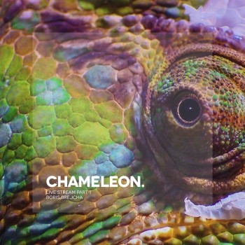 Boris Brejcha - Chameleon (Live Stream Part 1) Boris Brejcha - Chameleon (Live Stream Part 1)