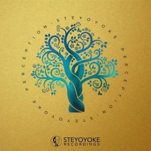 VA - Steyoyoke Perception, Vol. 7 [SYYKPERC007]