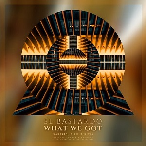 El Bastardo - What We Got [Stellar Fountain]