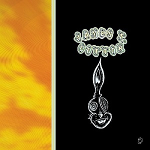 James T. Cotton - The Dancing Box (2004) Vinyl Rip