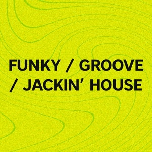 VA - EXCLUSIVE TOP 100 FUNKY HOUSE [2020]