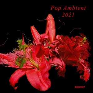 VA - Pop Ambient 2021 (2020) FLAC