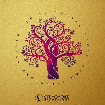 VA - Steyoyoke Perception (Vol. 8)