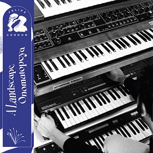 Felipe Gordon - A Landscape Onomatopeya [CD] (2021)